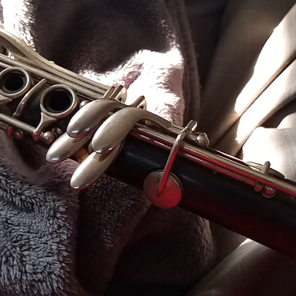 clarinet - Picture 6 of 7